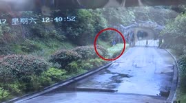 Chinese tourists in danger of entering tiger enclosure after scaling fence to avoid zoo entrance fee