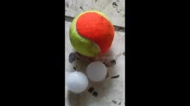 #wxtx little thunderstorm with hail & high winds. Odessa Tx https://t.co/UUz2SSATlo