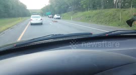 Deer Down on the Highway