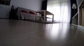 funny cat slams into sofa