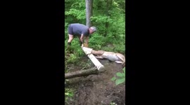 Sauvetage d'un chevreuil en bobette