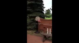 Father's Day Surprise