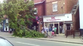 Oxford, cowley road, branch fallen
