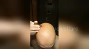 temp