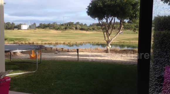 Whipper snipper 1, Window 0.