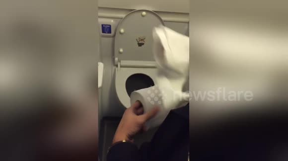 Newsflare Edit - Aiplanes toilets power vs toilet paper