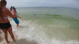 Shark swims incredibly close to shore off US beach