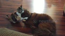 When Bae's Had Enough