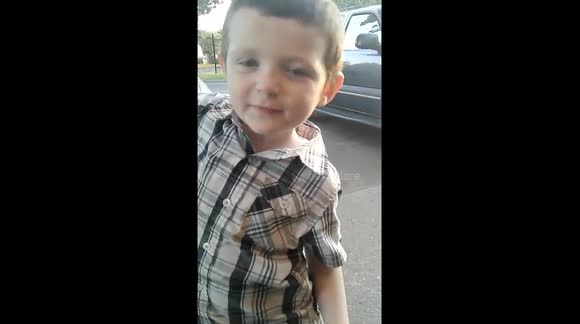 Plan to save mating cats lmao!!!