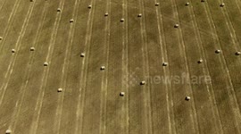 Farming_Wheat Farm_South Australia