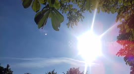 Hot day sun over the river dyke