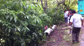 Car crash Peru part2