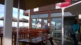 Seagull steals calamari from unaware customer