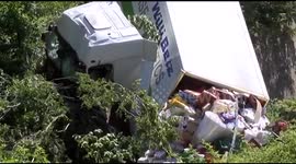 Gypsies rob a crashed truck with food.