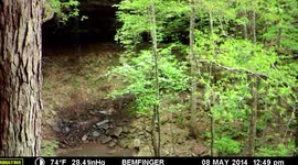 Bingham Hollow Falls Time Lapse
