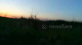 Locust Dzhankoysky district