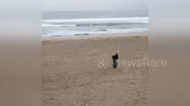 Newsflare Edit - Grim Reaper dancing on the beach !