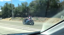 Dog Strapped to Motorcycle on Freeway!  4th of July
