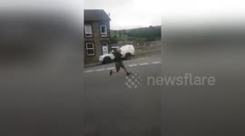 Man breaks leg during shadow-boxing attempt