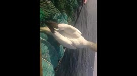 Portuguese ship catching fish in spain