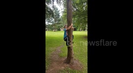 UK Tree climbing FAIL