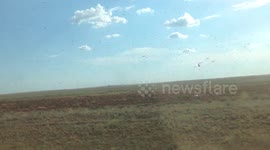 Swarm of locusts flies through Russian region