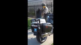 people out here just tryna make an honest living and of course police gotta be bitches about it smfh #fuck12 https://t.co/JV7pY3y2PQ