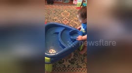 Newsflare Edit - When you fall but try to play it off