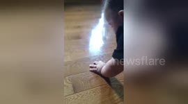 Newsflare Edit - He accidentally ran over the ant!