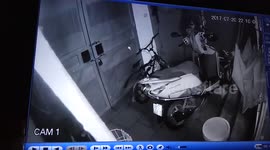 Dog getting out the house with an incredible way