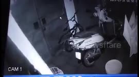 Dog getting in the house with an incredible way