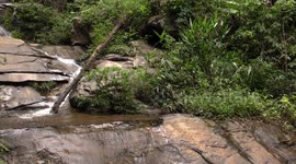 Fluffy Tit butterfly by a waterfall