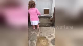 Newsflare Edit - Baby goes through dog flap!