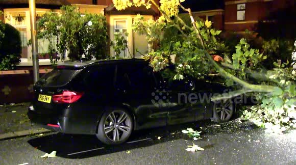 Lightning strike topples tree onto BMW