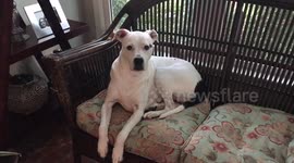 The Staring Game! The wink doesnt count ;)