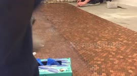 Shop owner decorates floor with thousands of pennies