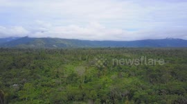 Mavic Pro Drone and a Eagle