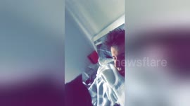 Newsflare Edit - Cat attack face