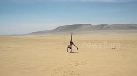 The Journey to Huacachina with Peru Hop