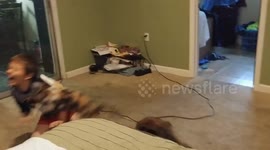 Pyscho Kitty Strikes Again!