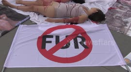 Say no to skinning dogs alive 