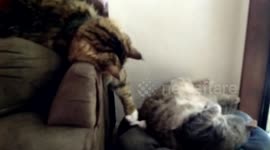 The One Armed Bandit Strikes Again!