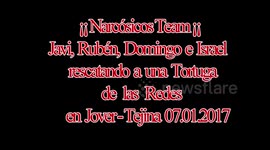 Rescate de una Tortuga en Jover   Tejina 07 01 2017