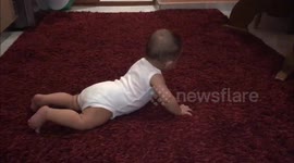 5 Month Baby doing push ups and roars just like in a gym