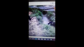 Oops, Natural entertainment