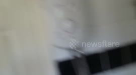 Why you should never swim in the canal (blood)