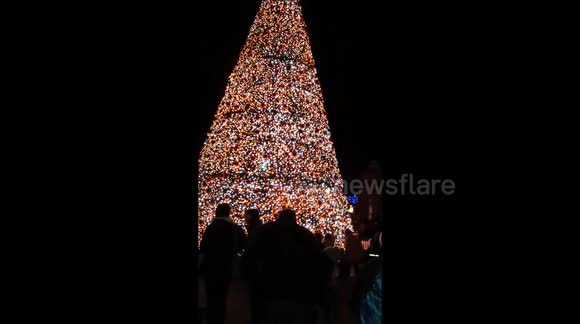 The Singing Christmas Tree