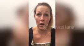 Newsflare Edit - Bumble bee drinking suger water