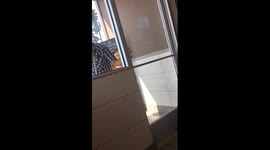 Fight at McDonald's 2017