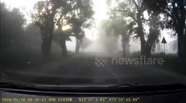 Driving in fog 
